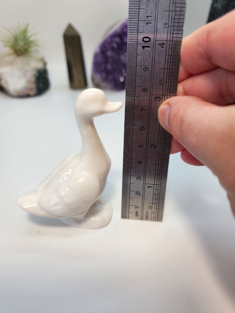 Glossy Duck Silicone Mould