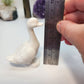 Glossy Duck Silicone Mould