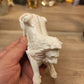 Laying Down Male Lion Silicone Mould Super glossy finish.