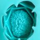 Lotus Flower Geode Crystal Handmade Silicone Mould. Holds Crystal balls or mini ring and trinket holder.