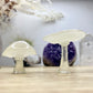 Mushroom Silicone Mould. Glossy finish with unique underside gills & texture. Easy removal. Key ring, pendants, fairy gardens.