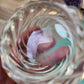 Exclusive Wavy/Spiral Pattern Tea-Light Candle Holder. Deep casting area for whole botanicals.